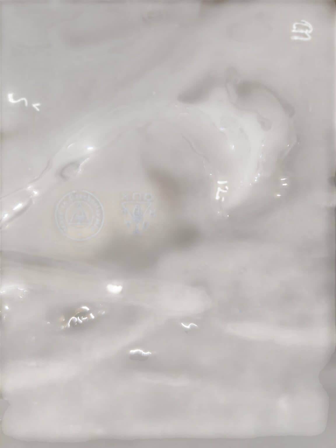 P51 (5)