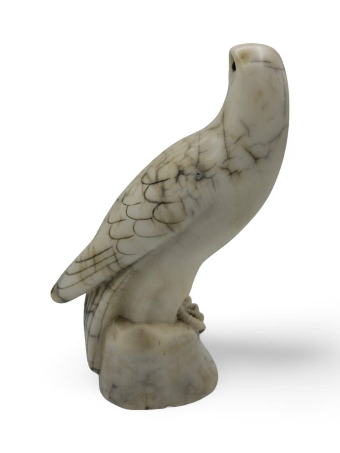 P62 (3)